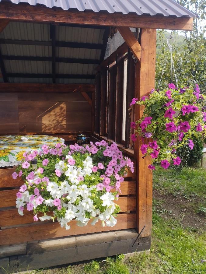 Карпати Котедж Анастасія Skole Esterno foto